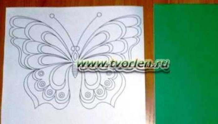 Бабочки из бумаги своими руками (схемы, шаблоны)